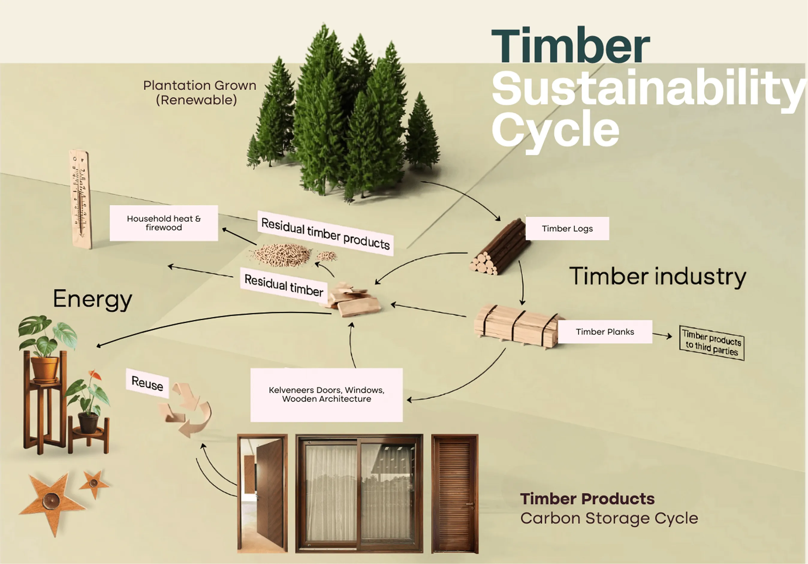 Timber Sustainability Cycle